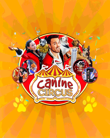 The Canine Circus